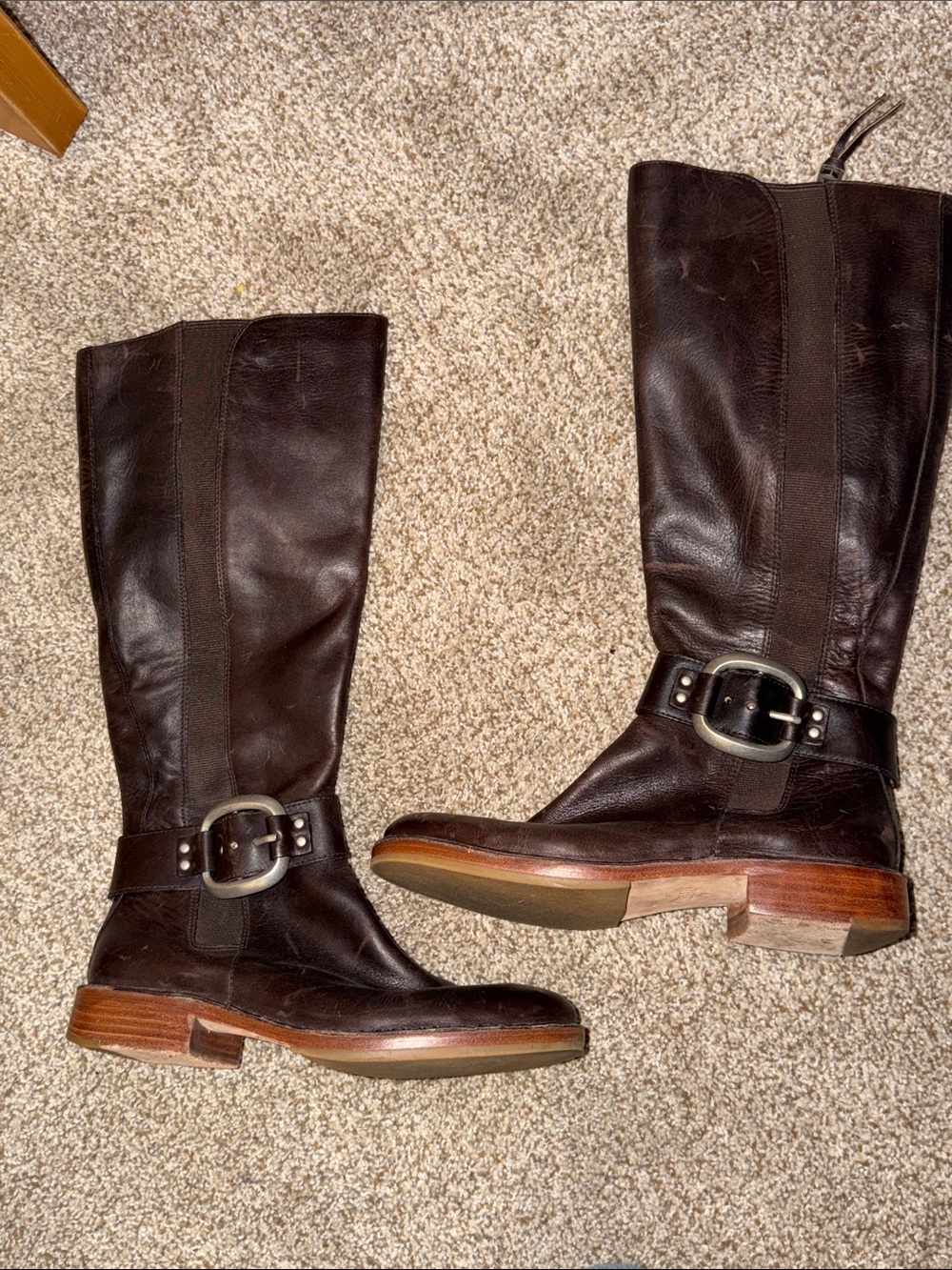 Women's Fossil Dark Brown Leather Riding Boots with Buckle Size 8